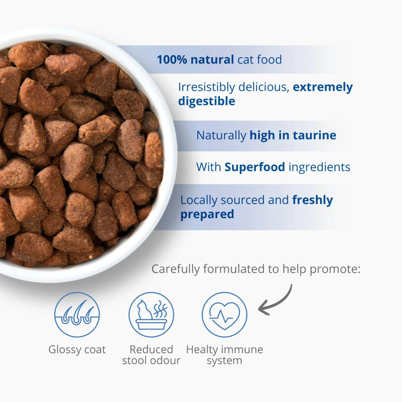 Catit Recipe Dry Adult Oceanfish 2kg