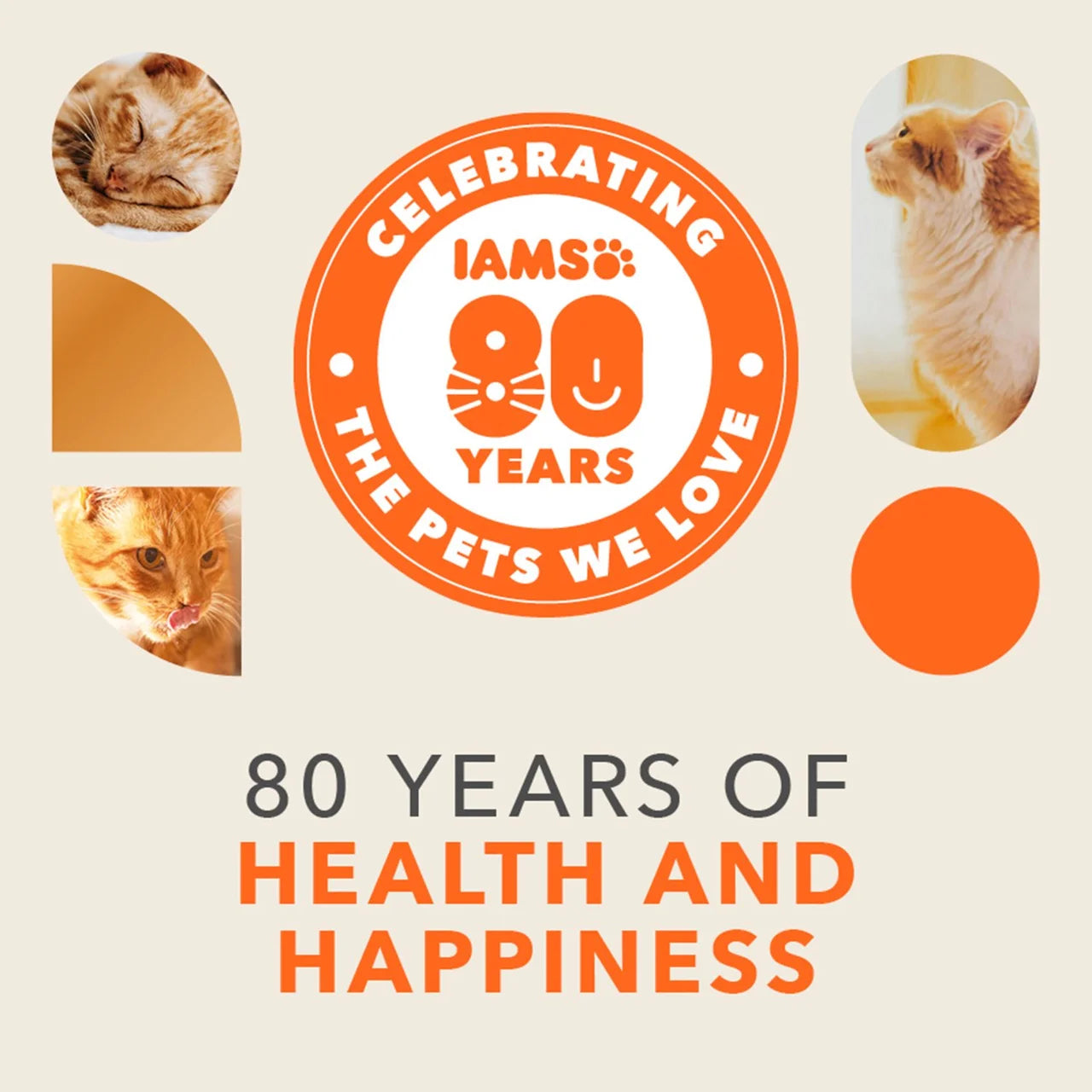 IAMS Adult Dry Cat Food Chicken 3kg