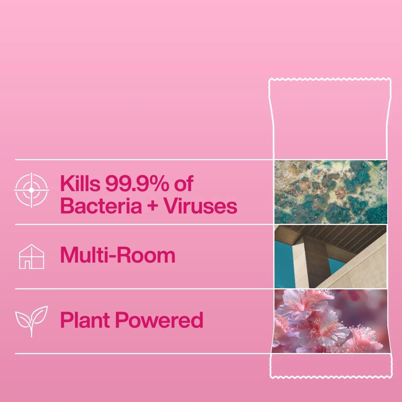 INEOS Antibac Multi-Room Surface Wipes Rhubarb + Pomegranate 60 per pack