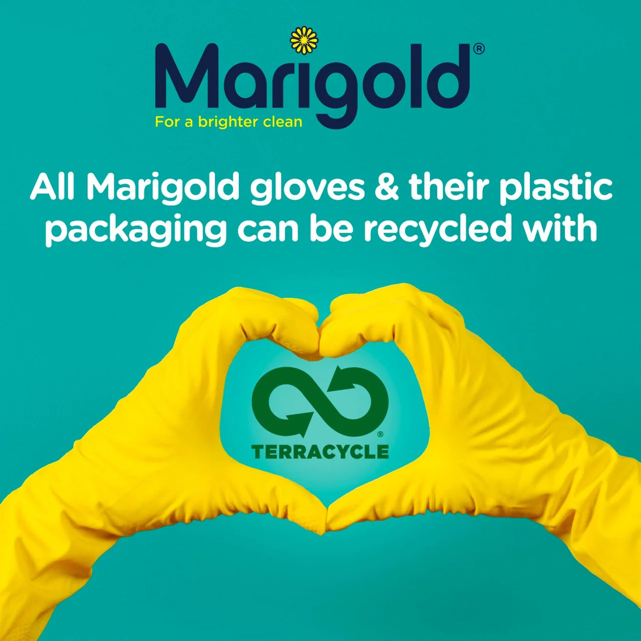 Marigold Extra Safe Disposable Latex & Powder Free Gloves M/L Food Safe 40 per pack