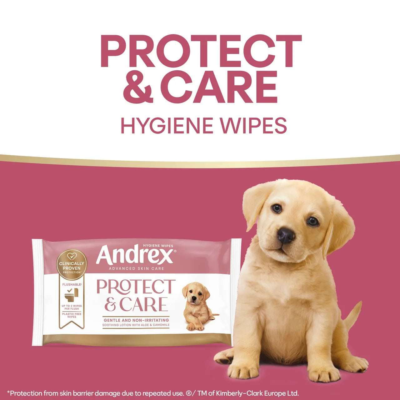Andrex Protect & Care Hygiene Wipes 36 per pack