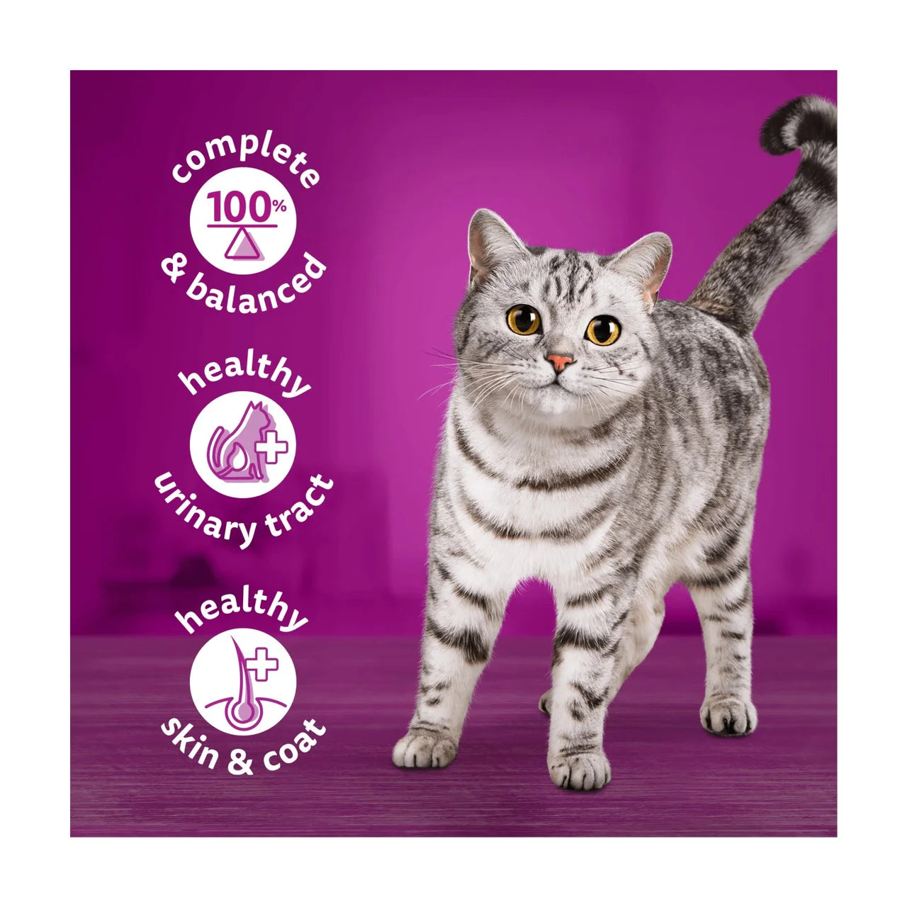 Whiskas 1+ Adult Wet Cat Food Tins Ocean Menu in Jelly 6 x 400g