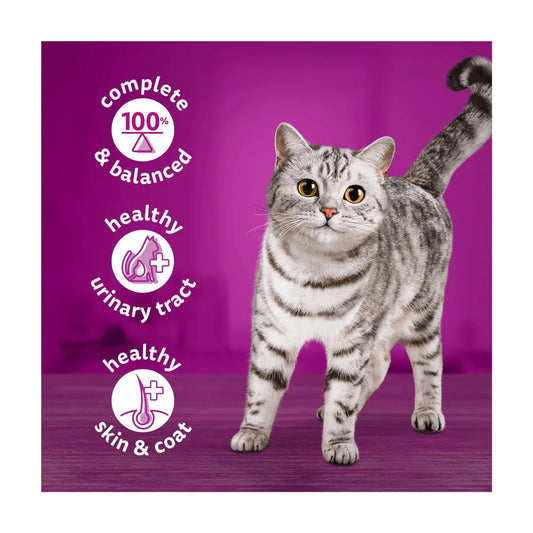 Whiskas 1+ Adult Wet Cat Food Tins Ocean Menu in Jelly 6 x 400g