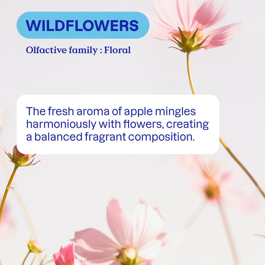 Attitude Laundry Detergent Wildflowers 35 Washes 1.05L
