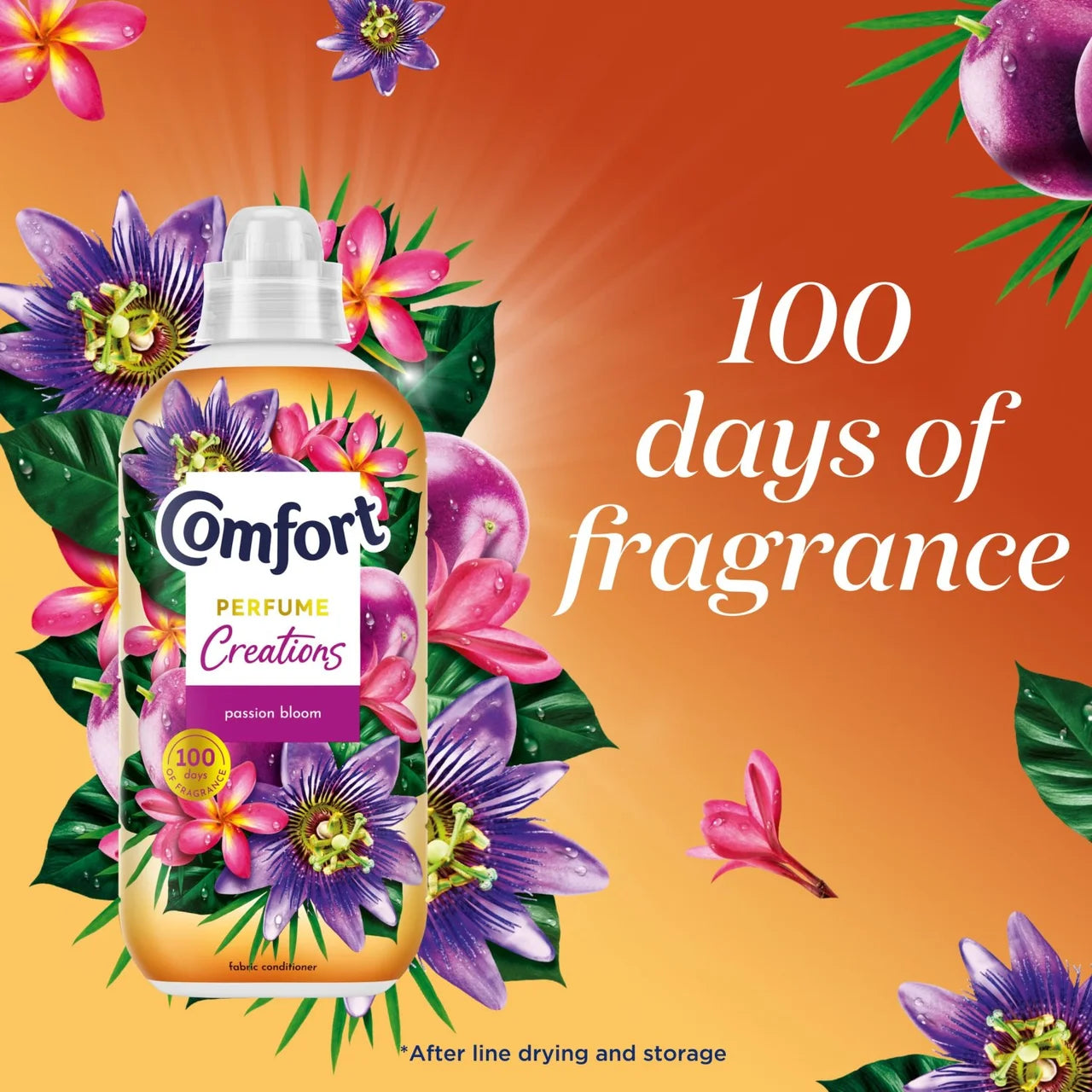 Comfort Creations Fabric Conditioner Passion Bloom 48 Washes 1400ml