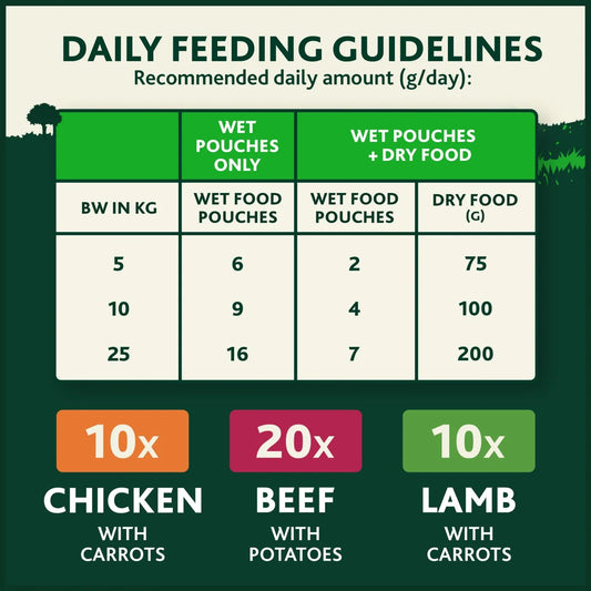 Winalot Meaty Chunks Mixed in Gravy Wet Dog Food 40x100g