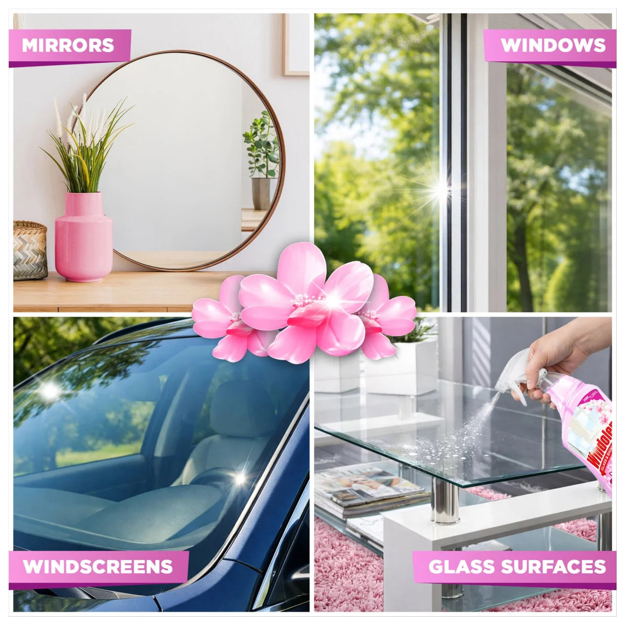 Windolene Diamond Shine Glass & Shiny Surfaces Pink Floral 750ml