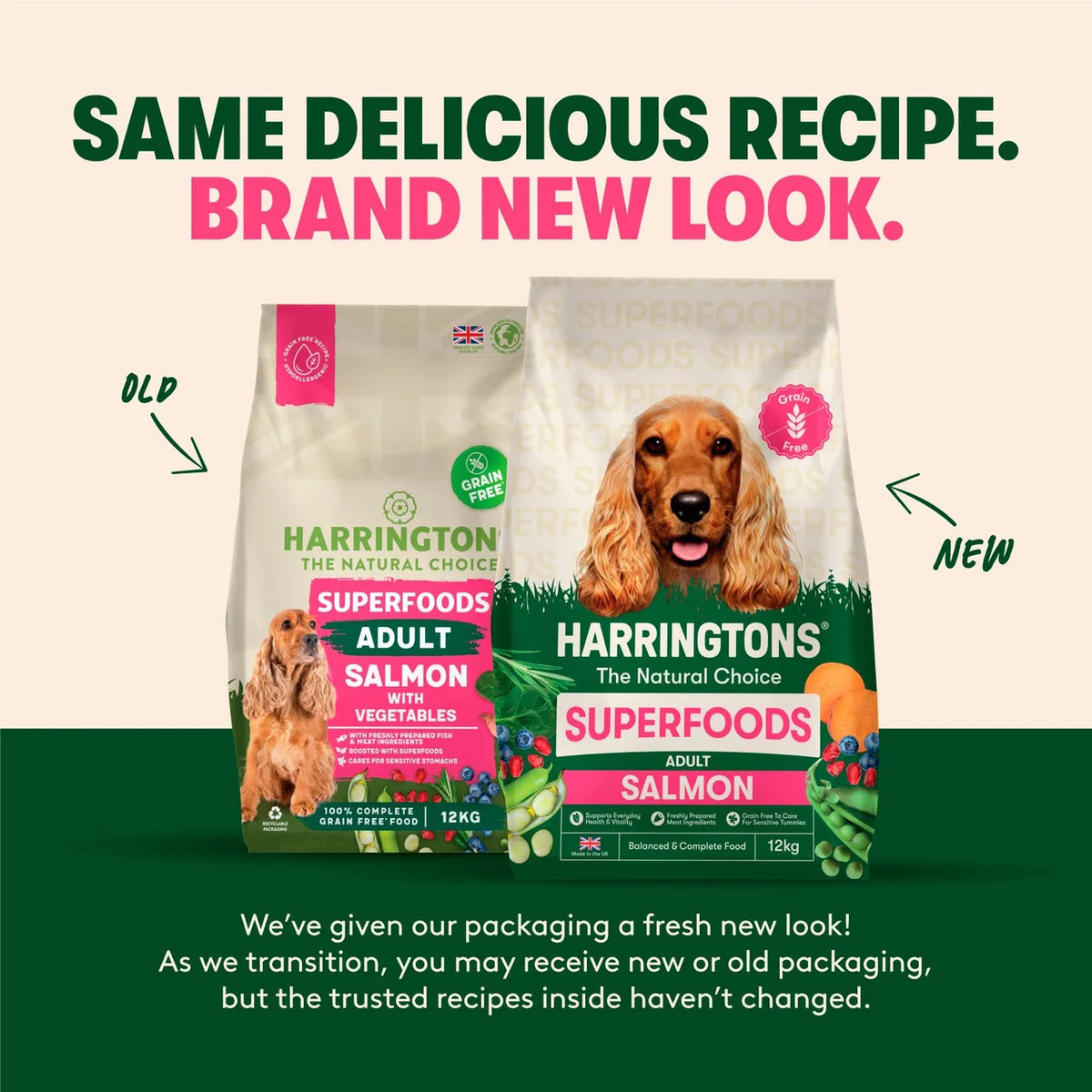 Harringtons Grain Free Superfoods Salmon Dry Dog Food 12kg