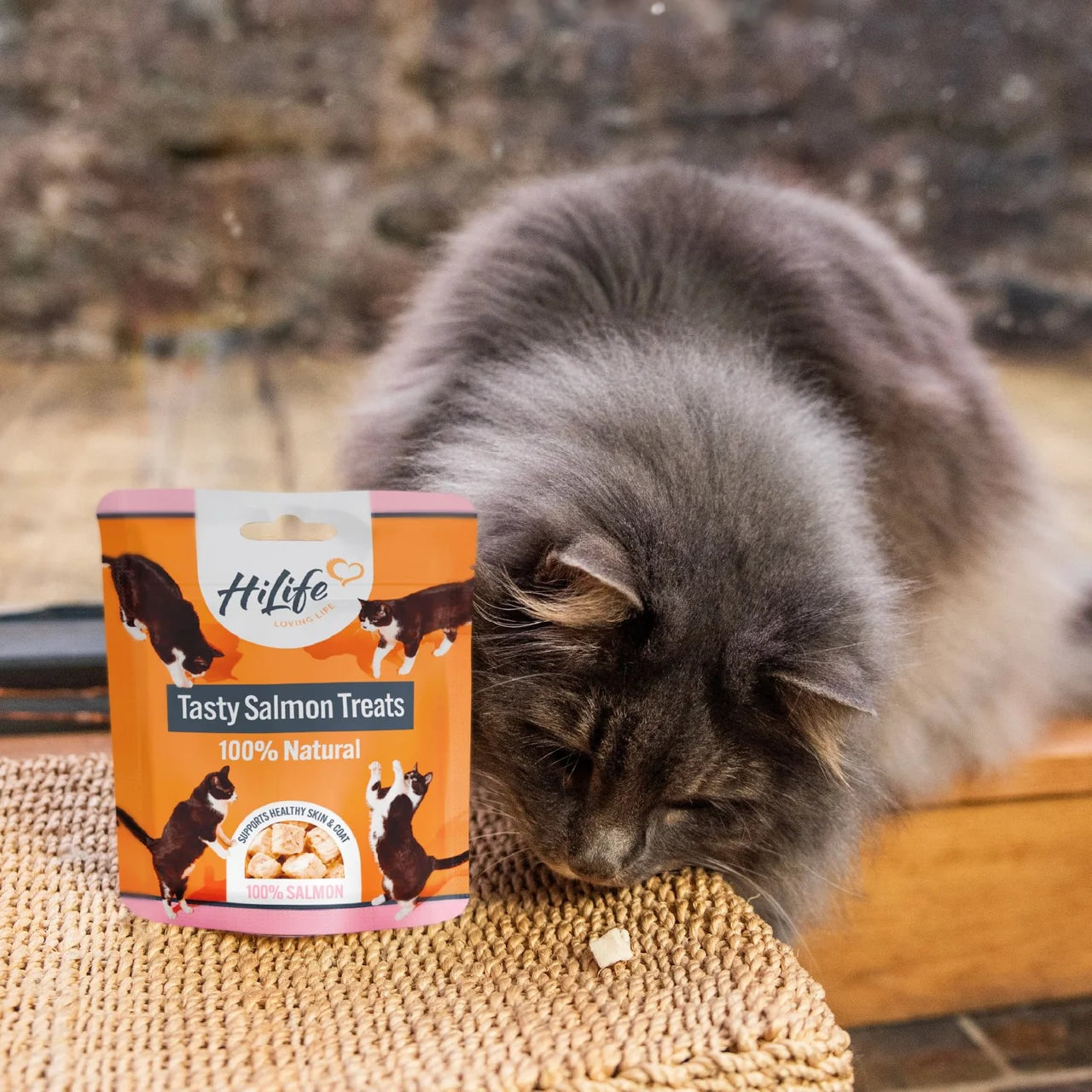 HiLife Salmon Freeze Dried Treats 30g