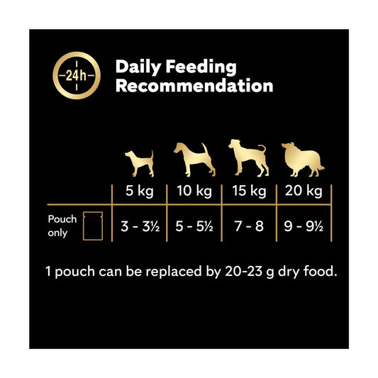 Cesar Senior Wet Dog Food Pouches Mixed Selection in Jelly 12x100g