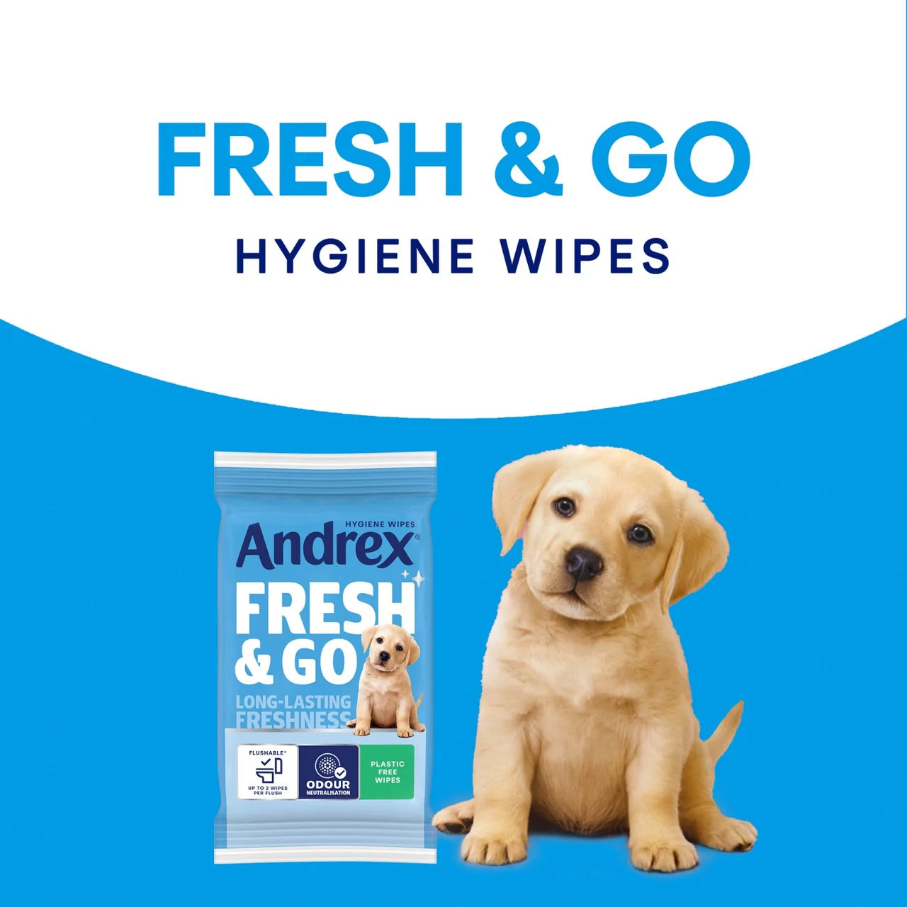 Andrex Fresh and Go Flushable Hygiene Wipes Travel Pack 12 per pack