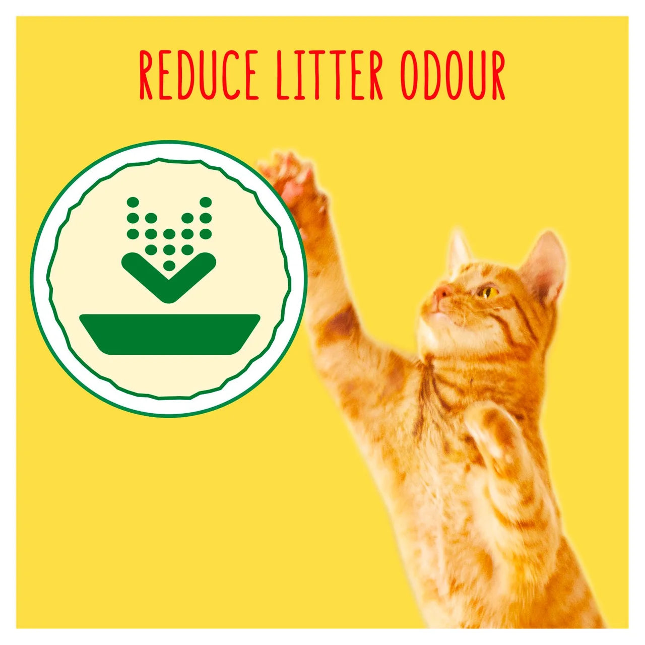 Go-Cat Indoor Chicken Dry Cat Food 2kg