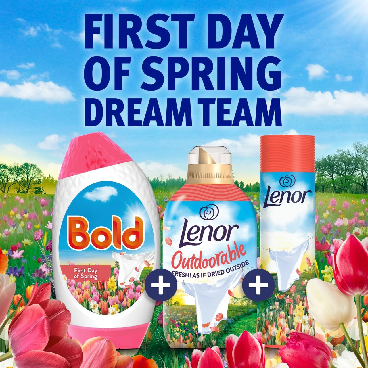 Bold 2In1 Washing Liquid Gel Pink Blossom 40 Washes 1320ml