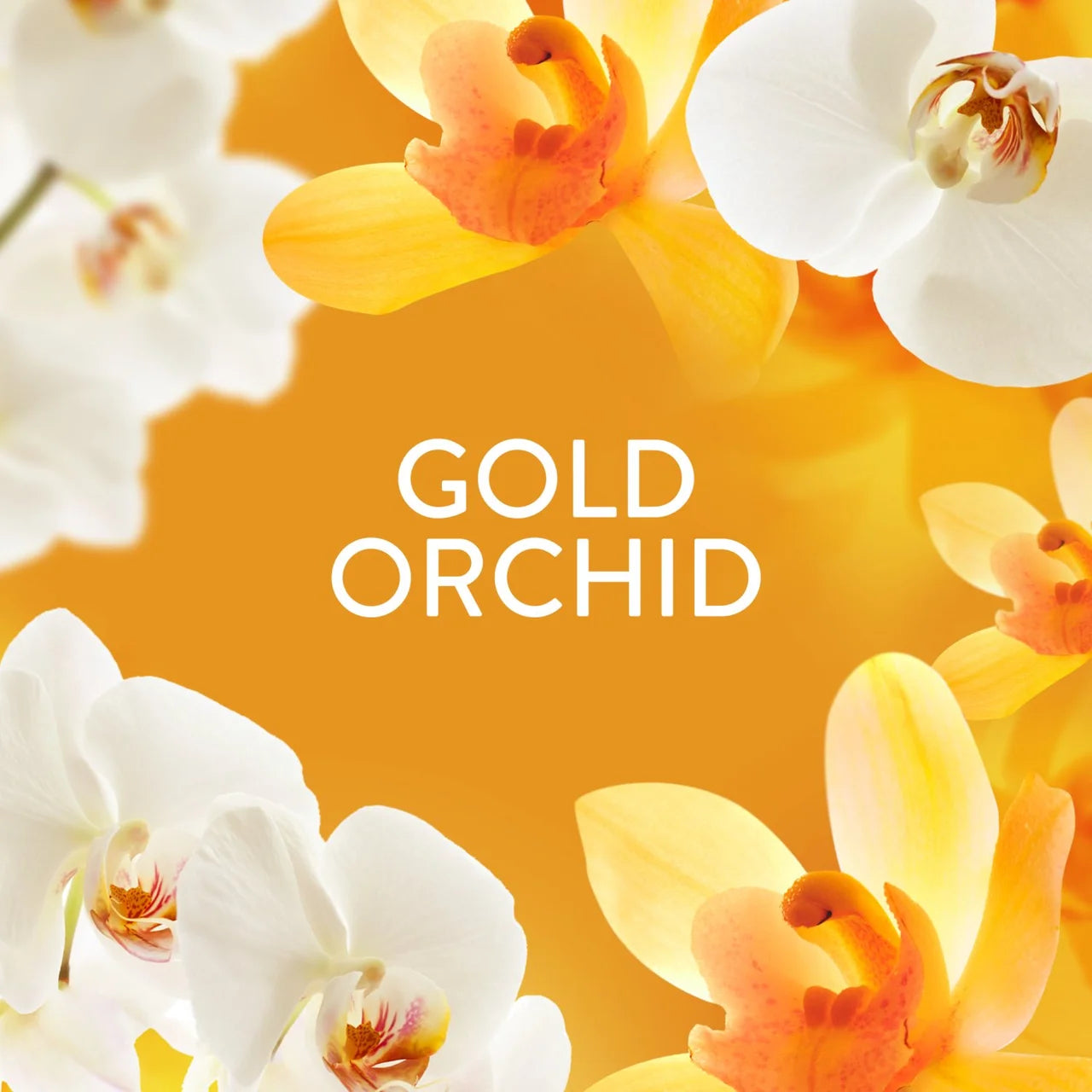 Lenor Unstoppables In Wash Scent Booster Gold Orchid 495g