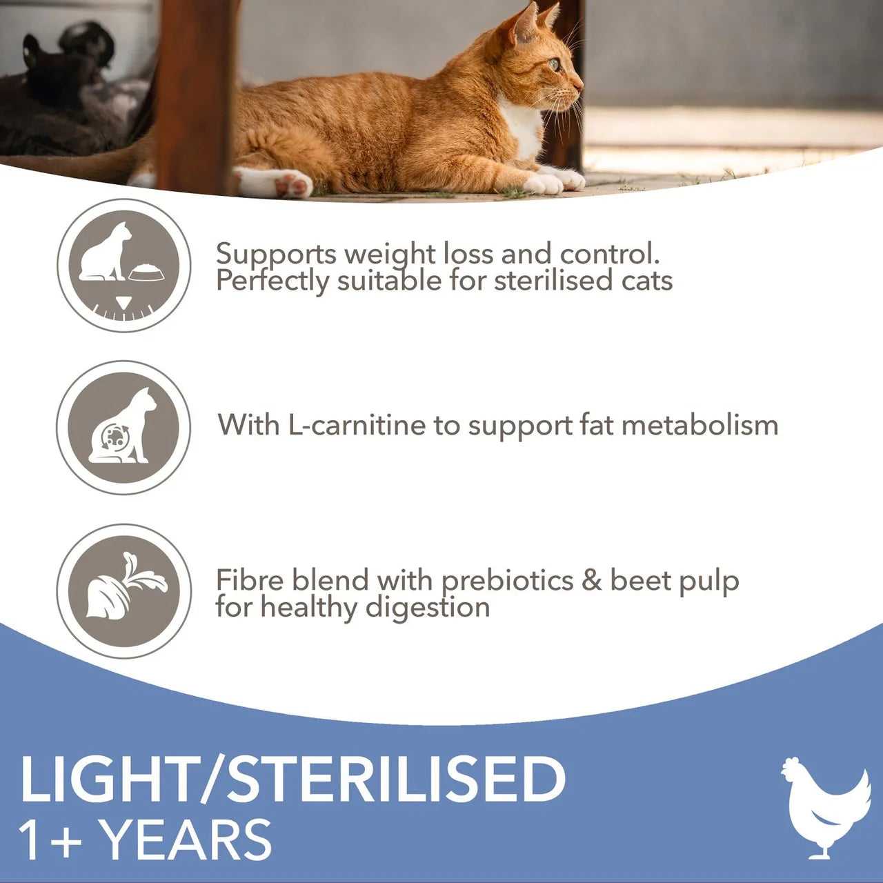 IAMS 1+ Years Light in Fat Dry Cat Food Chicken 3kg