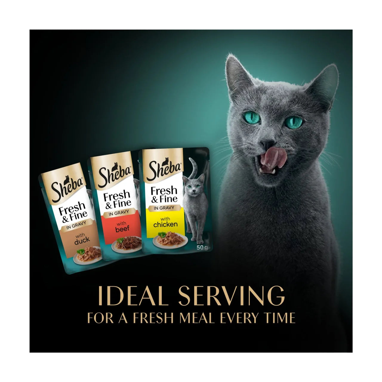 Sheba Fresh & Fine Wet Cat Food Pouches Meaty Pieces in Gravy 50 x 50g