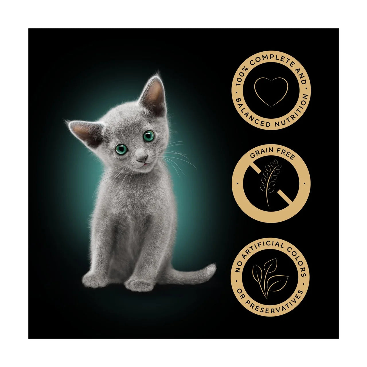 Sheba Sauce Collection Kitten Cat Pouches Mixed MSC Selection in Gravy 40 x 85g