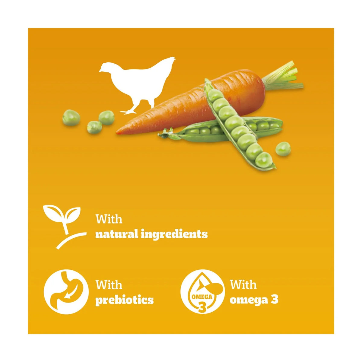 Pedigree Complete Senior Dry Dog Food Poultry & Vegetables 3kg