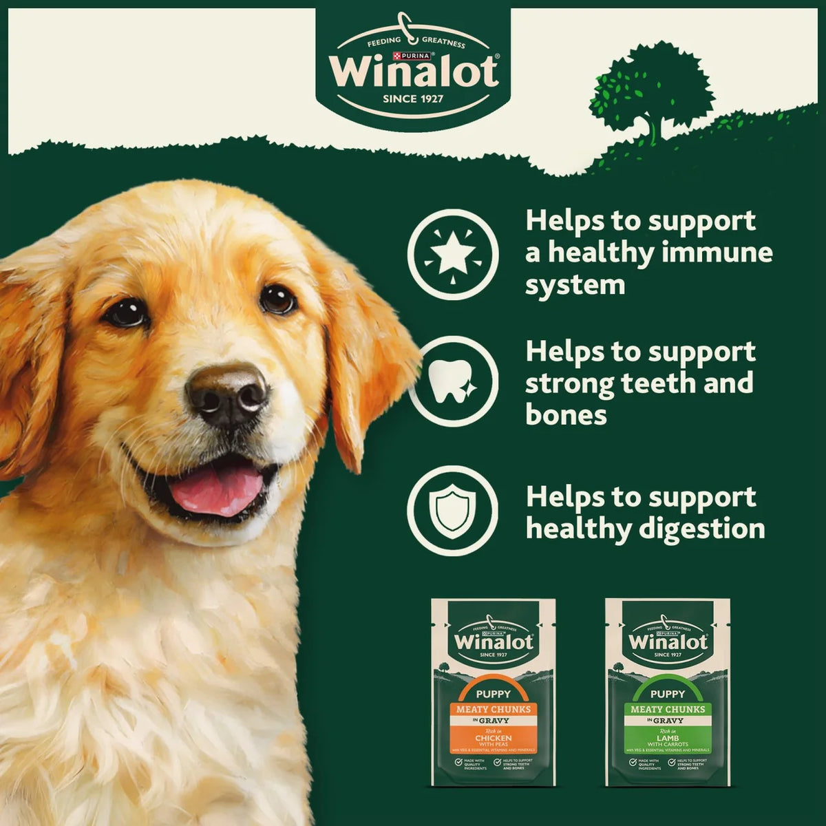 Winalot Meaty Chunks Puppy Mixed in Gravy Wet Dog Food 12 x 100g