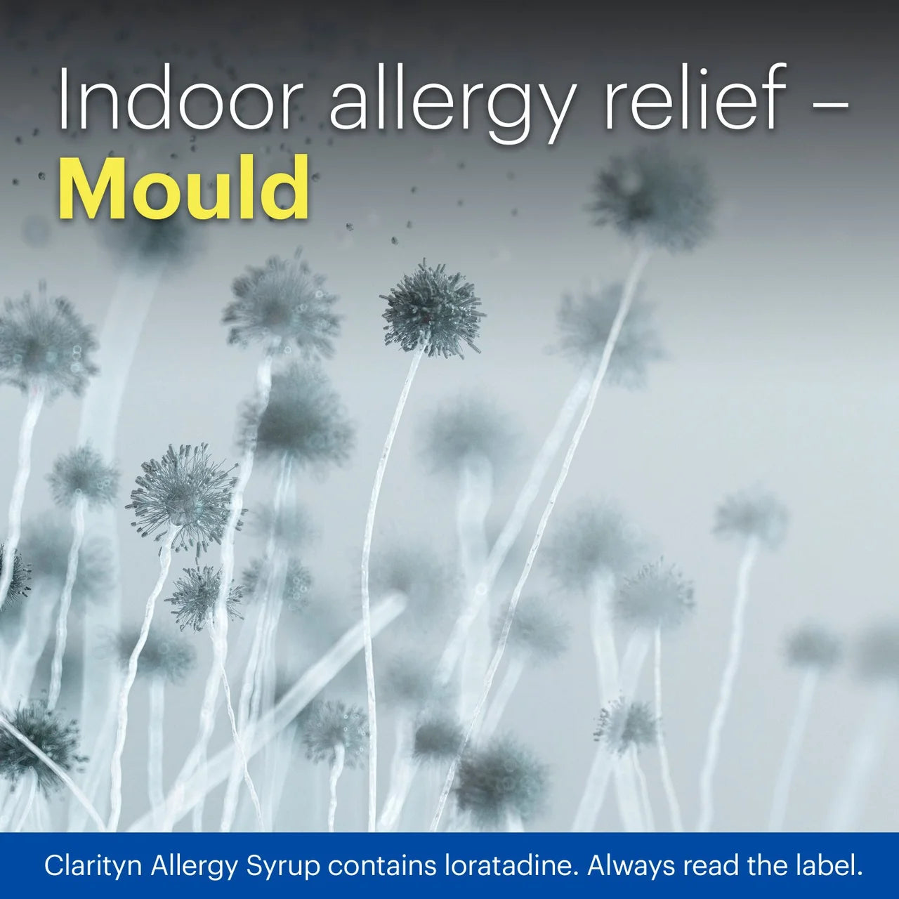 Clarityn Kids Allergy Syrup Mixed Berries 60ml