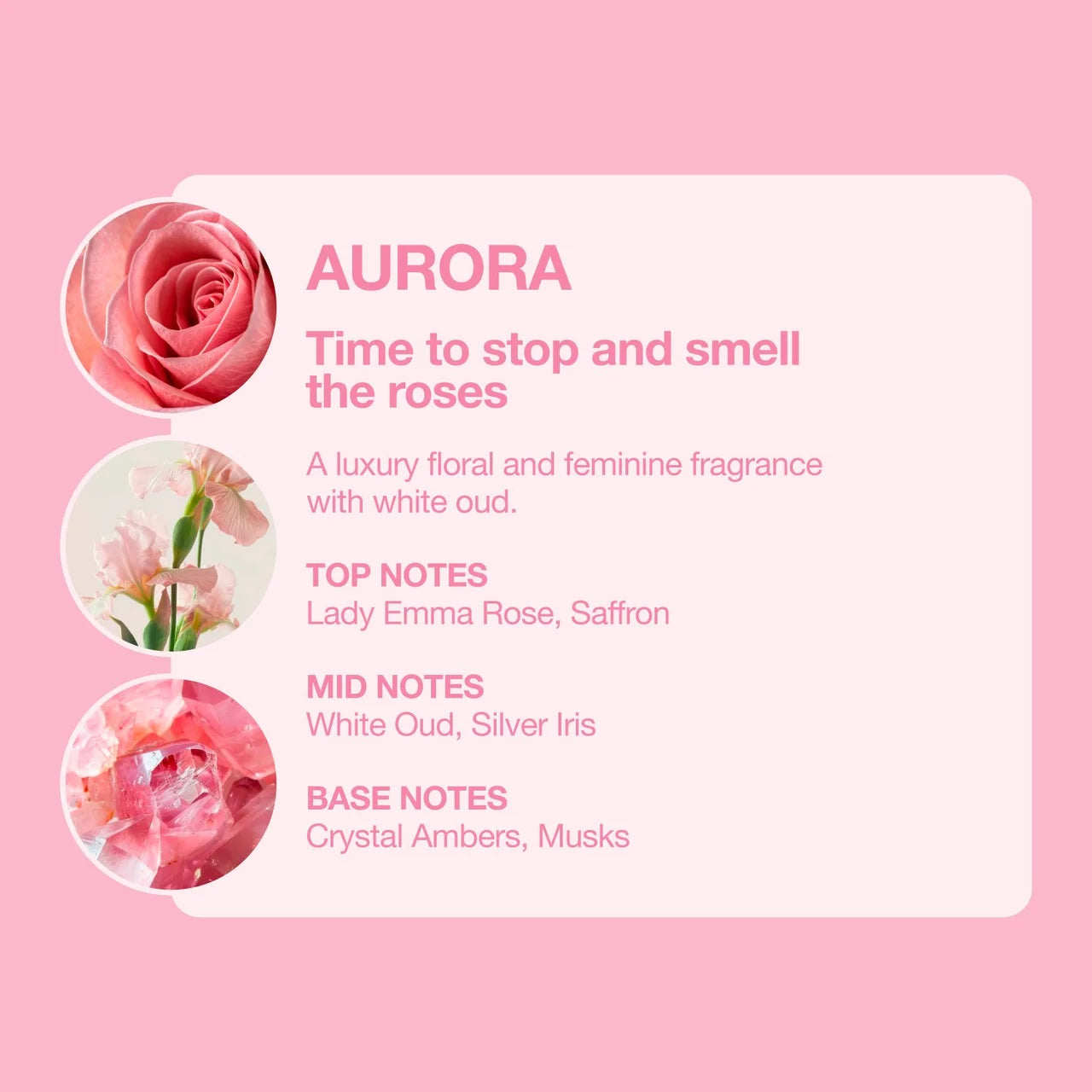 Tallow + Ash Aurora Laundry Shampoo 800ml