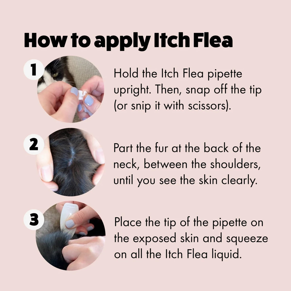 Itch Flea Cat Spot-On Flea & Tick treatment (1kg+)