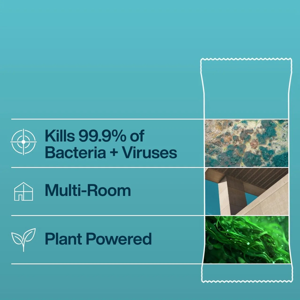 INEOS Antibac Multi-Room Surface Wipes Sea Minerals + Wild Jasmine 60 per pack
