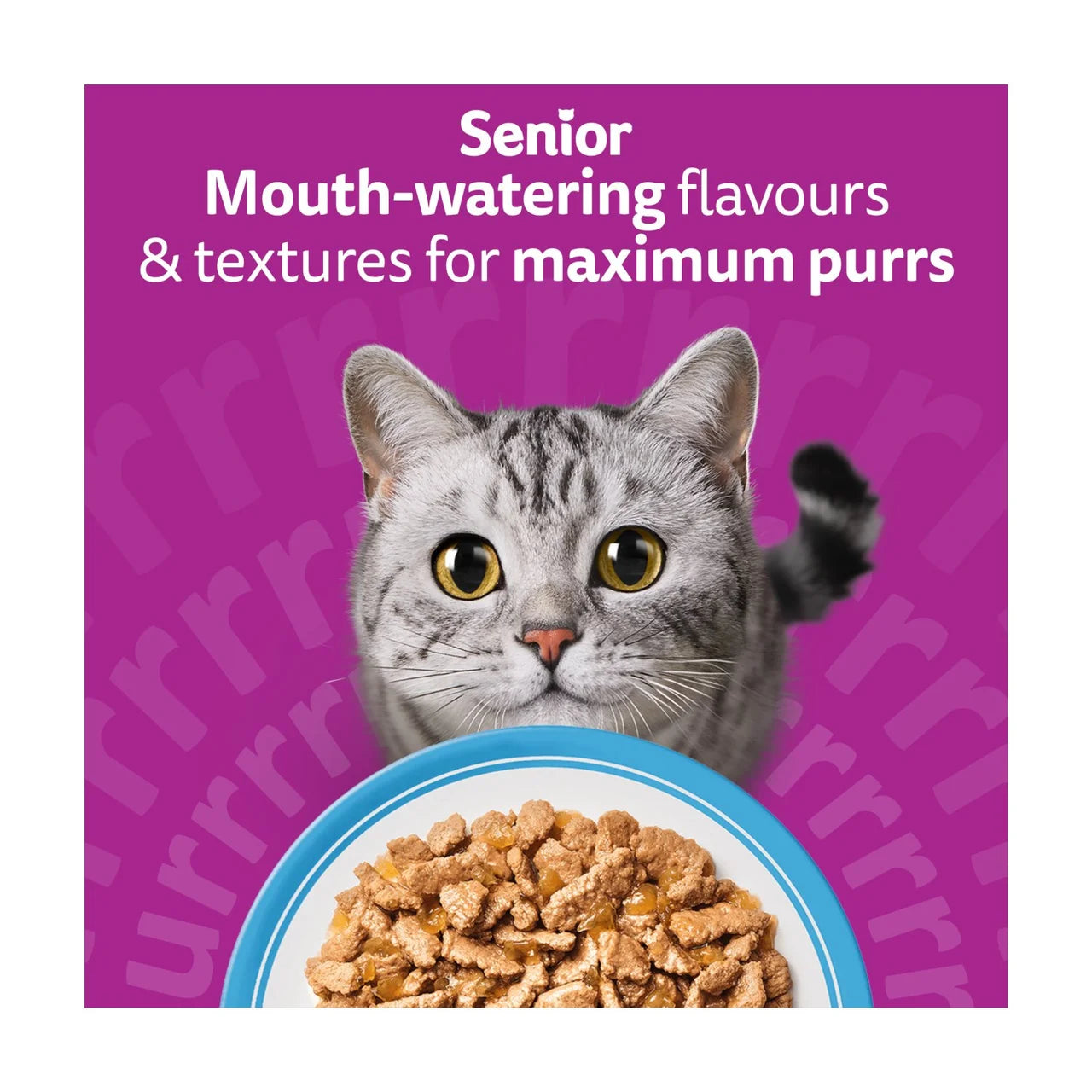 Whiskas 7+ Senior Wet Cat Food Fish Favourites in Jelly 12 x 85g