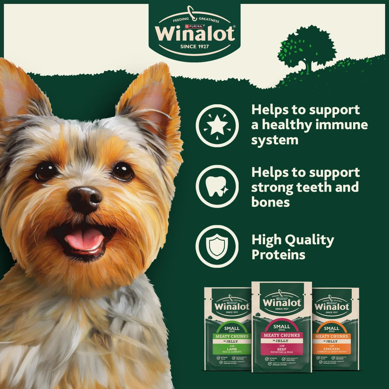 Winalot Meaty Chunks Small Dog Mixed in Jelly Wet Dog Food 12x85g