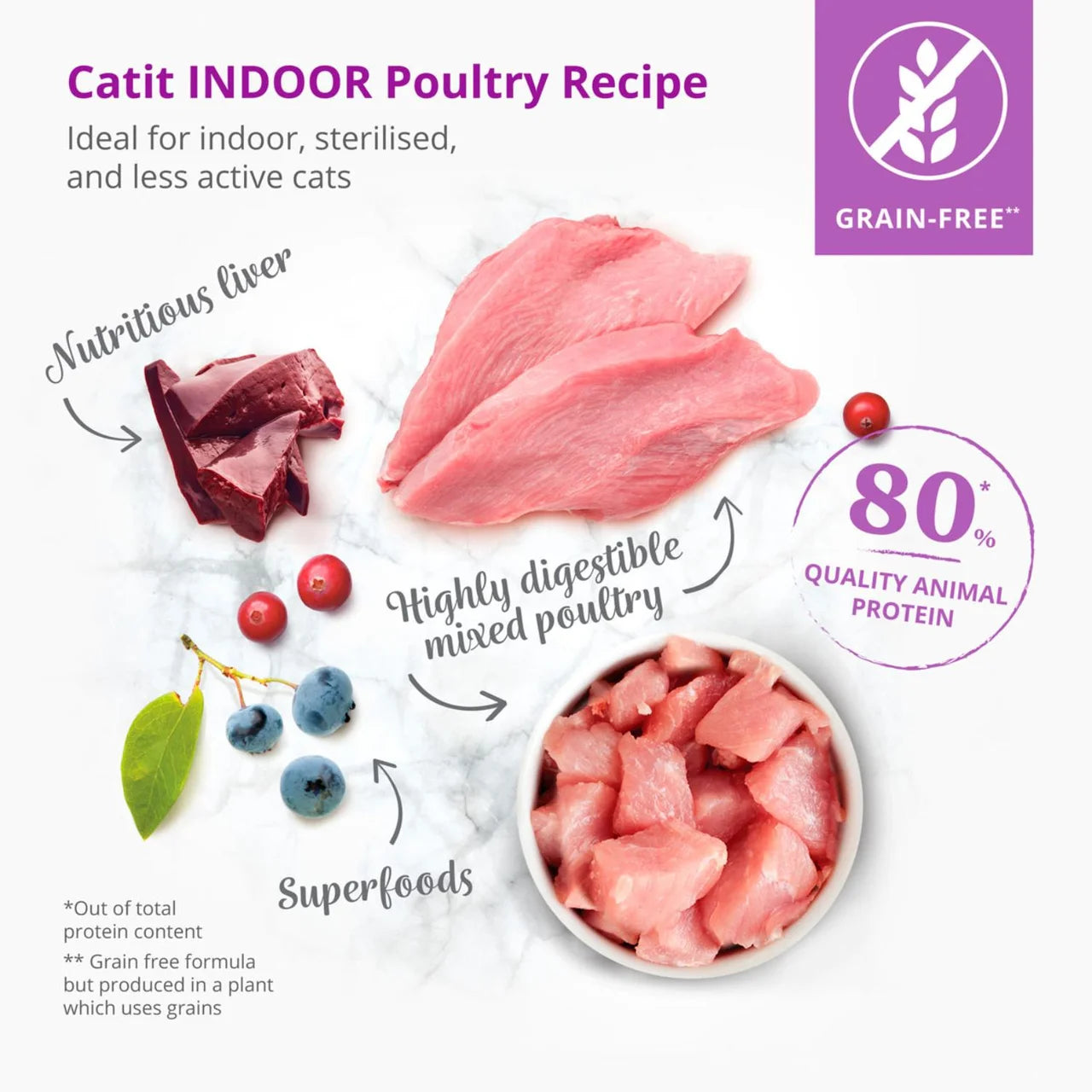 Catit Recipes Dry Adult Indoor 2kg