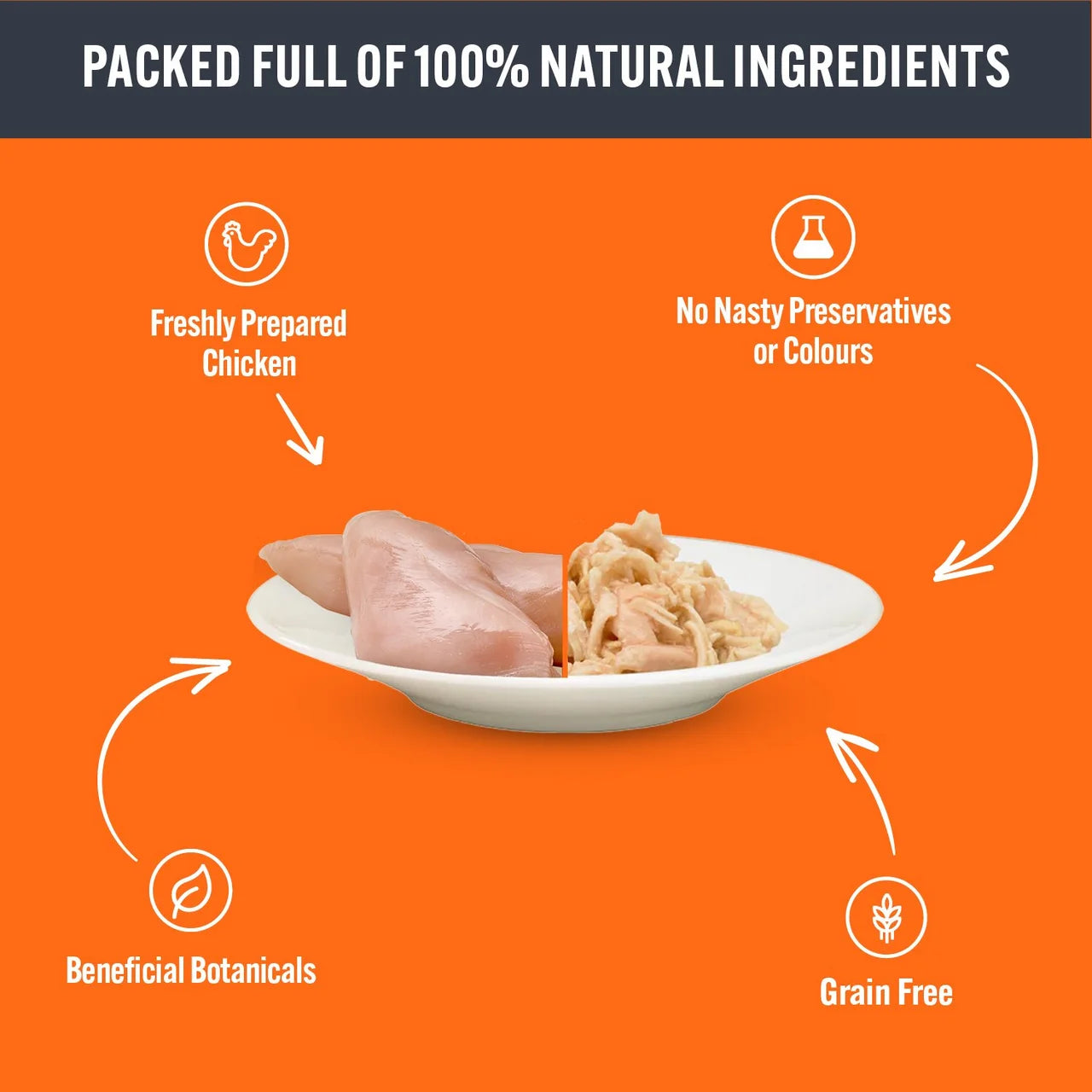 HiLife It's Only Natural Luxury Cat Food - Chicken Breast in Sauce 70g