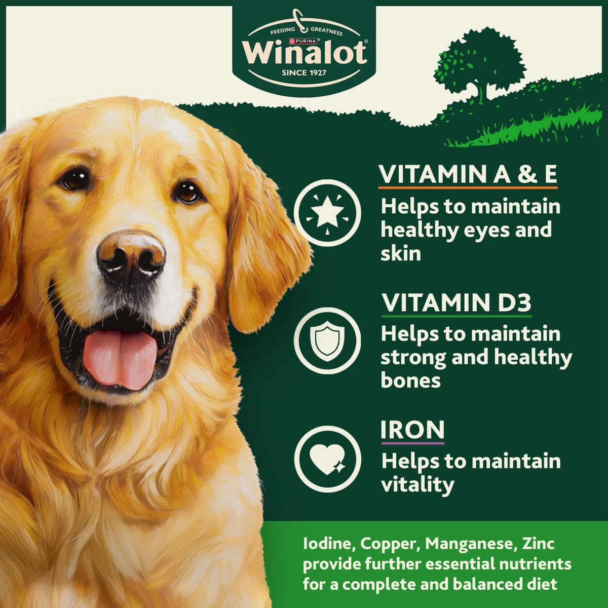 Winalot Classics Mixed in Jelly Chicken Wet Dog Food 12 x 400g