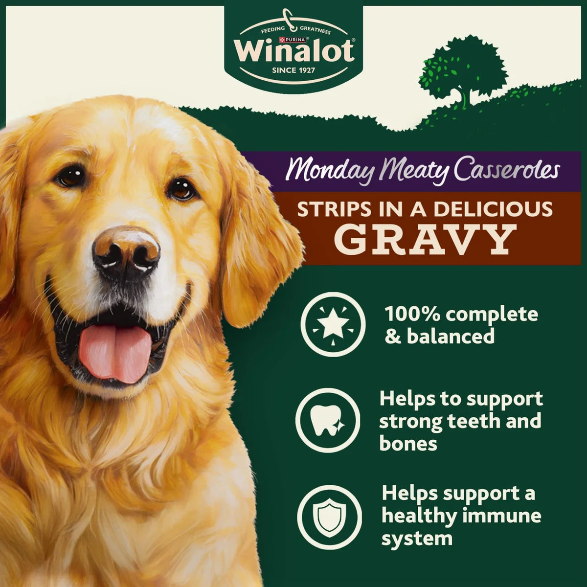 Winalot Monday Meaty Casseroles Chicken, Turkey, Duck in Gravy Wet Dog Food 40 x 85g