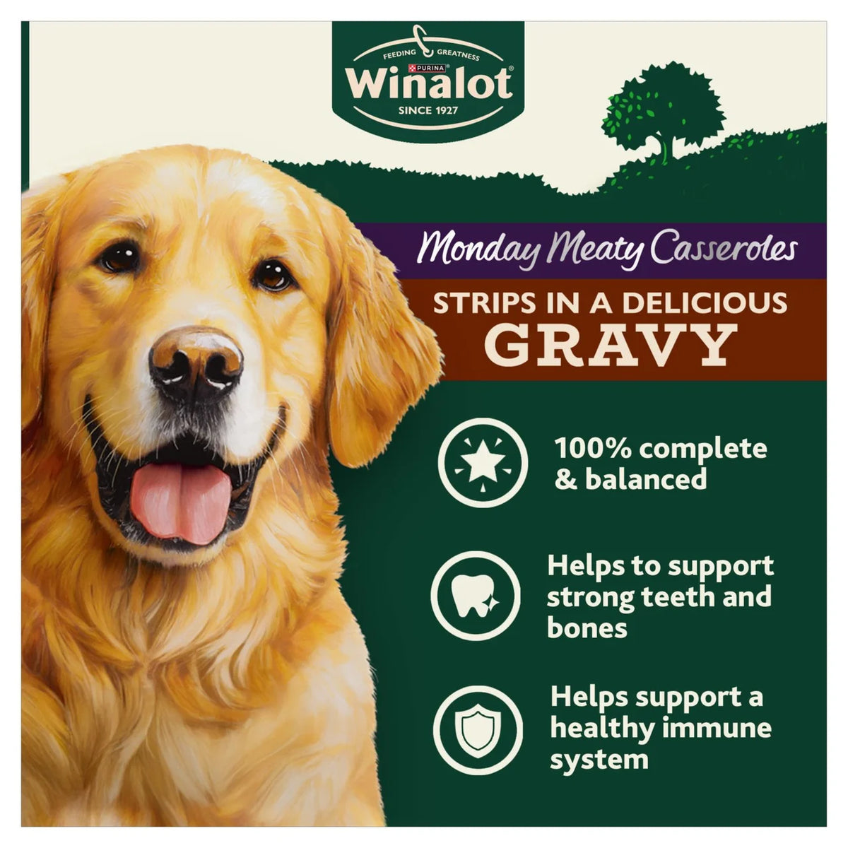 Winalot Monday Meaty Casseroles Chicken, Turkey, Duck in Gravy Wet Dog Food 12 x 85g