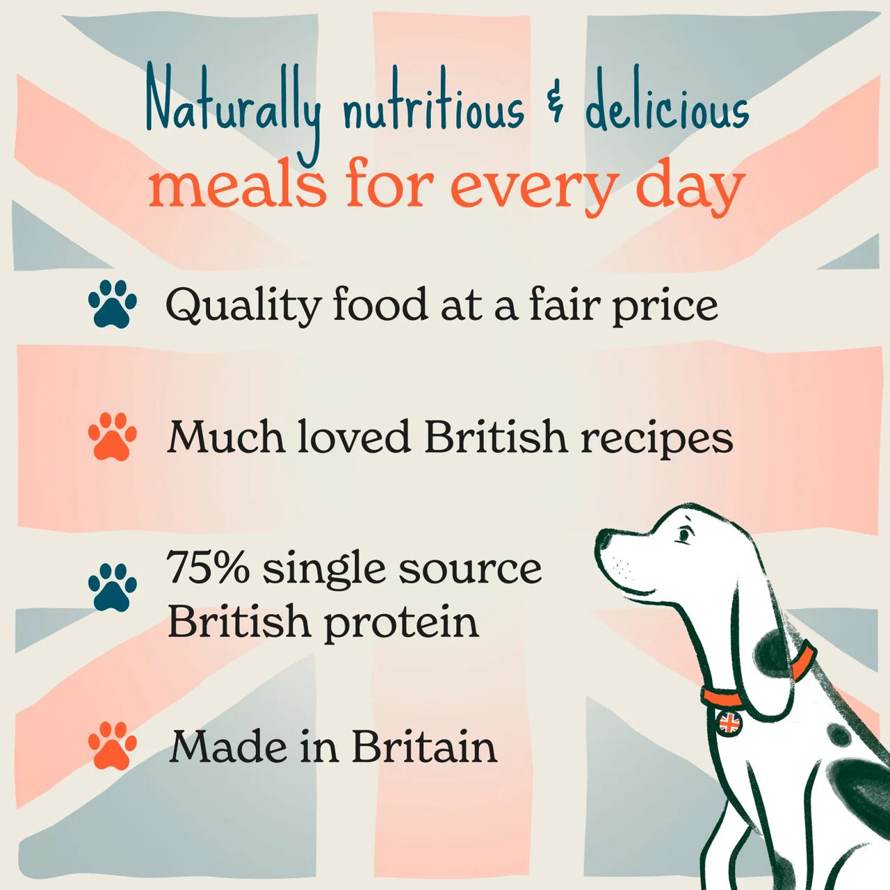 Forthglade British Classics Natural Wet Dog Food Hearty Turkey Stew 395g