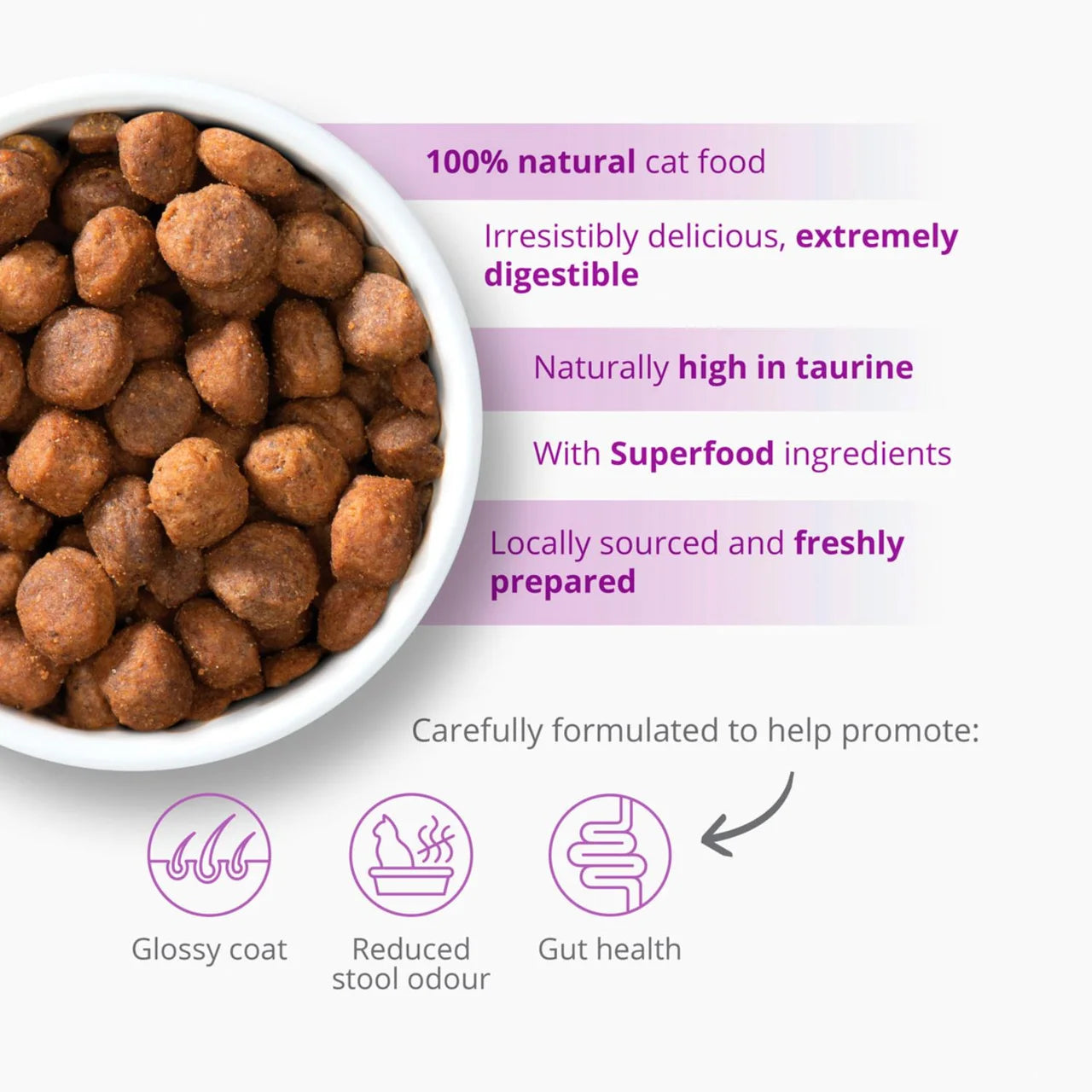 Catit Recipes Dry Adult Indoor 2kg
