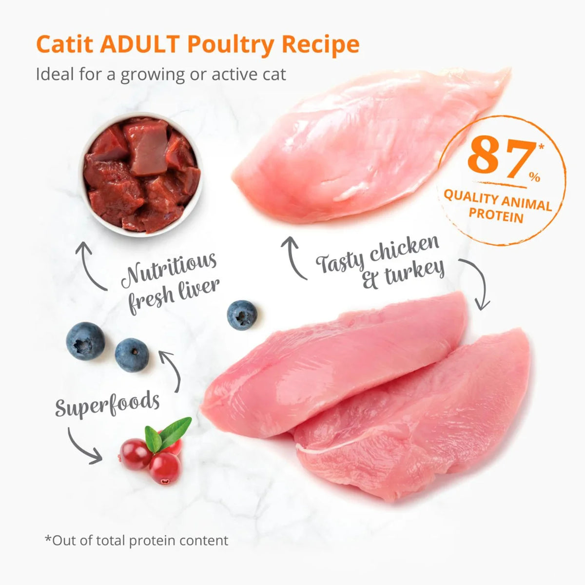 Catit Recipes Dry Adult Poultry 2kg