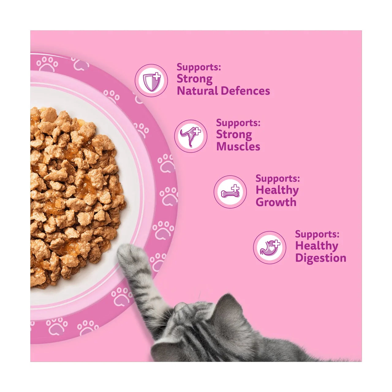 Whiskas Kitten 2-12mths Wet Cat Food Pouches Poultry Feasts in Jelly 40 x 85g