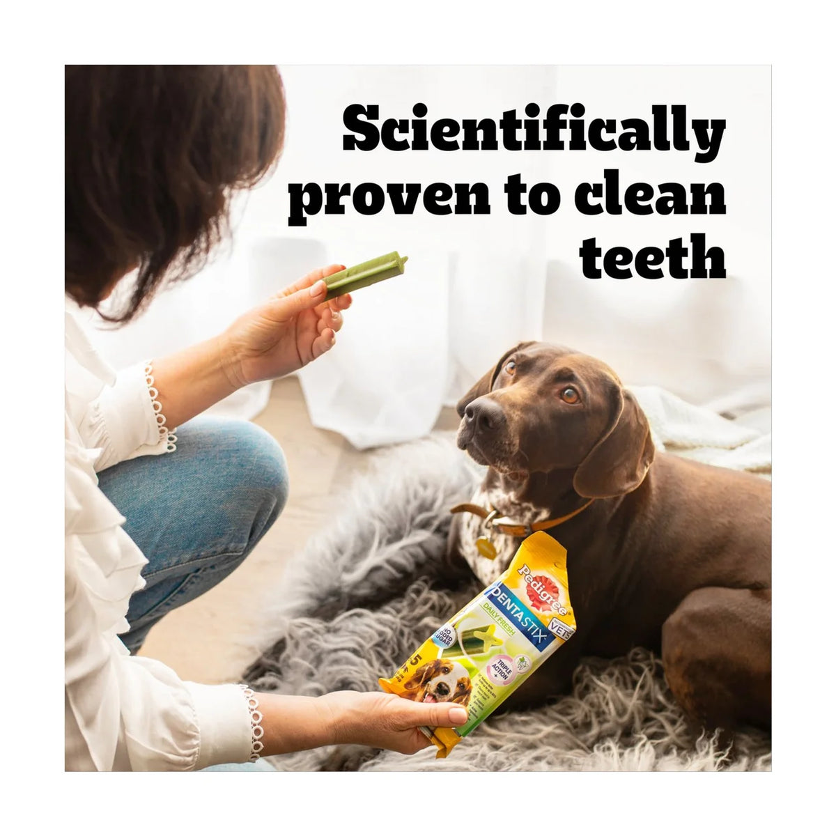 Pedigree Dentastix Fresh Adult Medium Dog Treats Dental Sticks 28 per pack