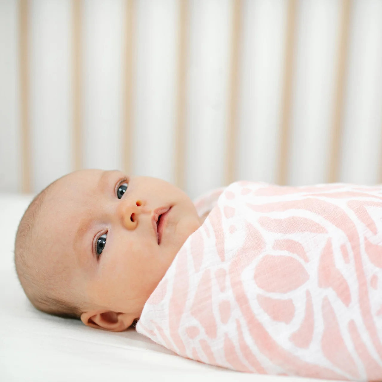 Aden + Anais Muslin Swaddle Blankets, Tropicalia 4 per pack