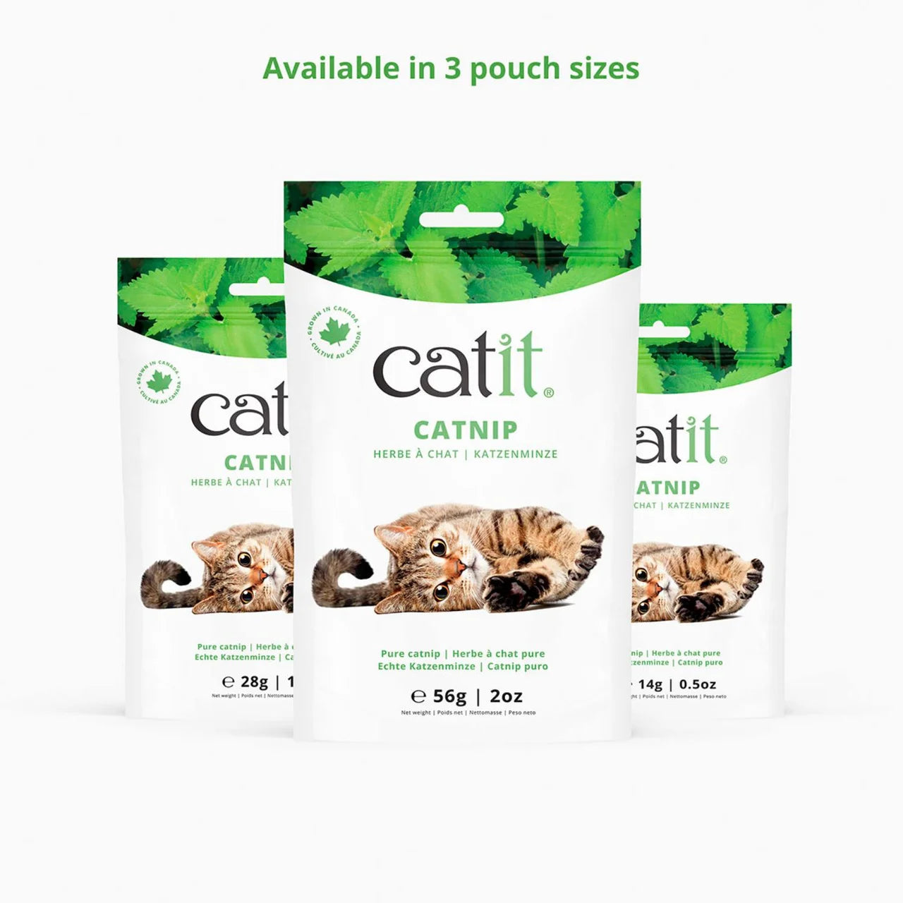 Catit Catnip 14g