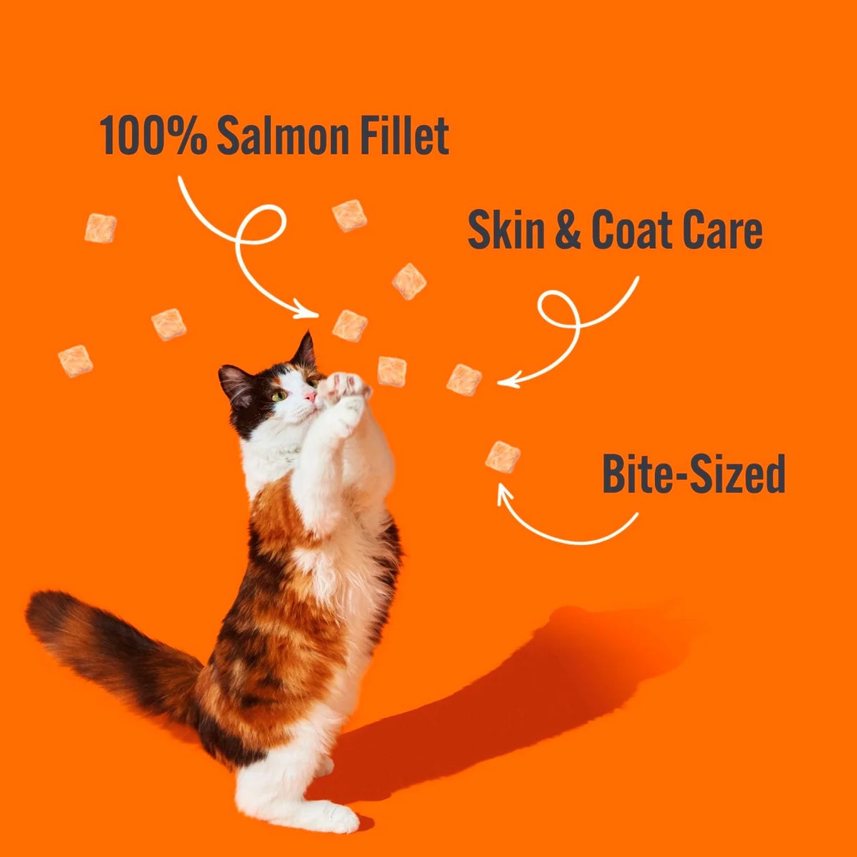 HiLife Salmon Freeze Dried Treats 30g