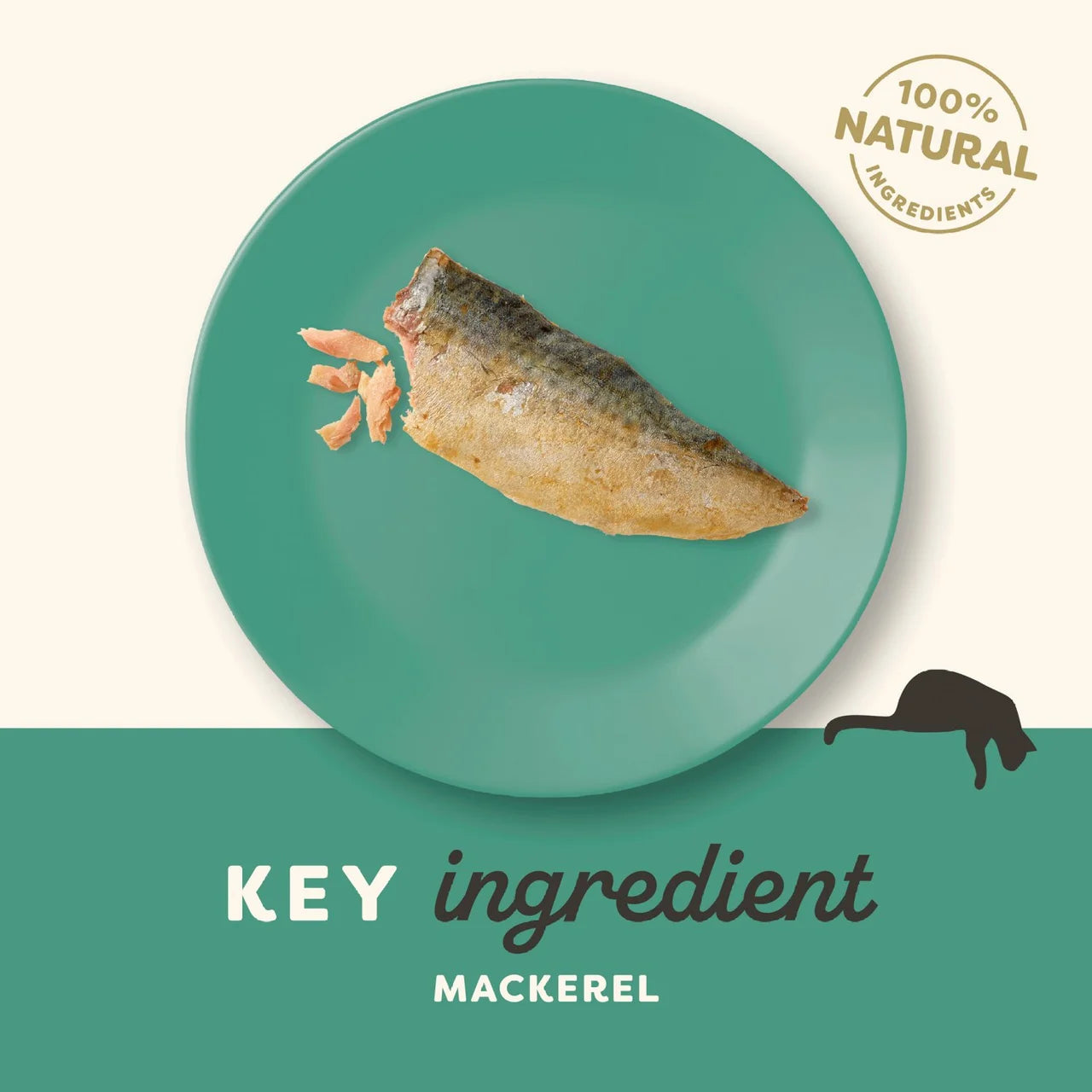 Applaws Natural Cat Treat Mackerel Fillet Loin Grain Free 30g