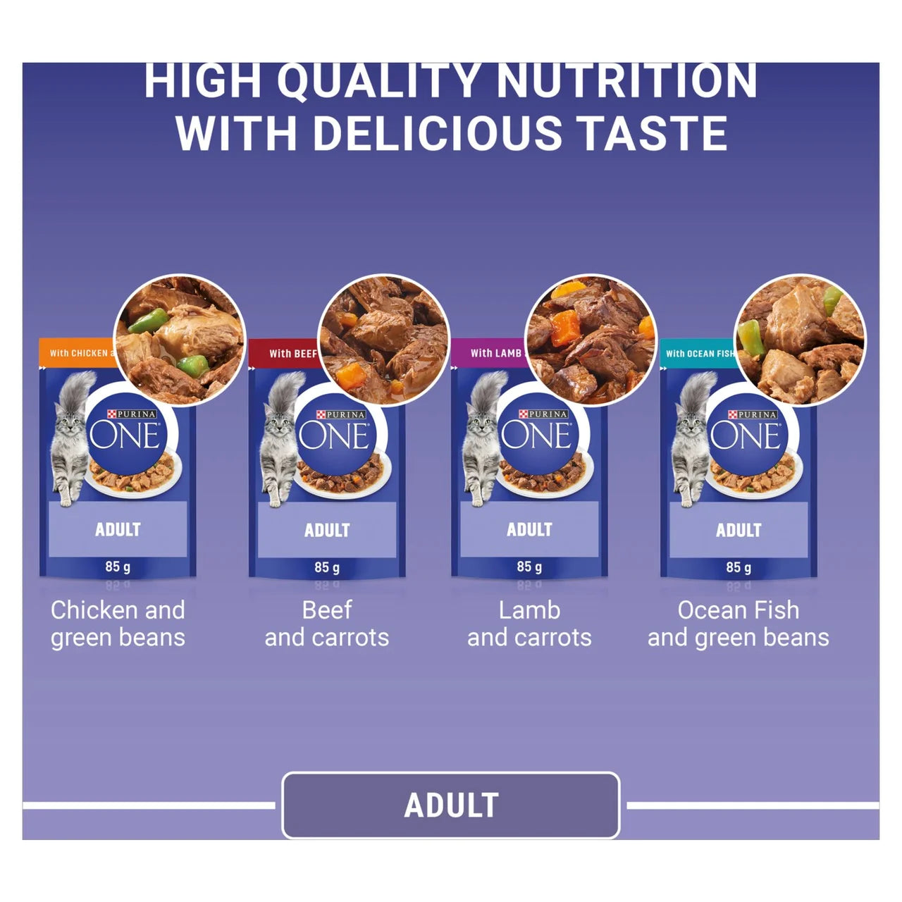 Purina One Mini Fillets Mixed Selection in Gravy Wet Cat Food 40 x 85g