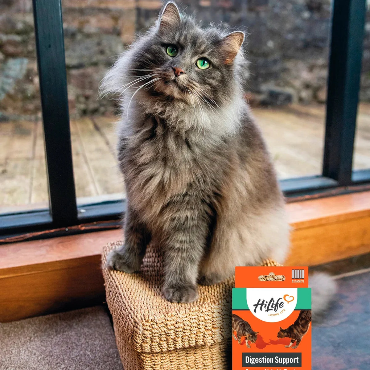 HiLife Functional Cat Licks Digestive Support 5 x 15g