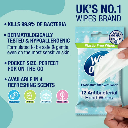 Wet Ones Be Gentle Biodegradeable Antibacterial Wipes 12 per pack