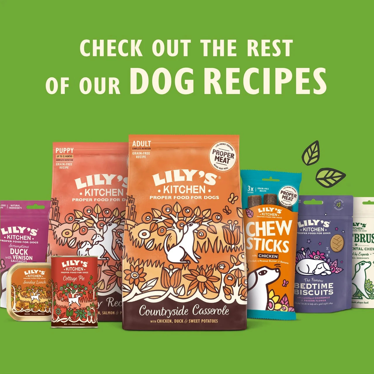 Lily's Kitchen Salmon Supper Grain Free Complete Adult Dry Dog Food 2.5kg