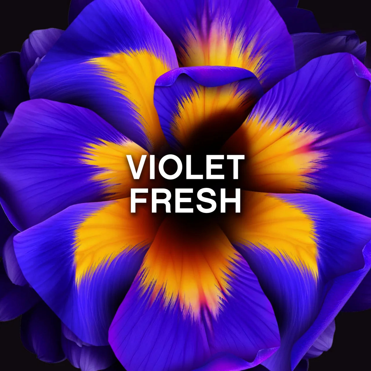 Lenor Unstoppables Violet Fresh Scent Booster 280g