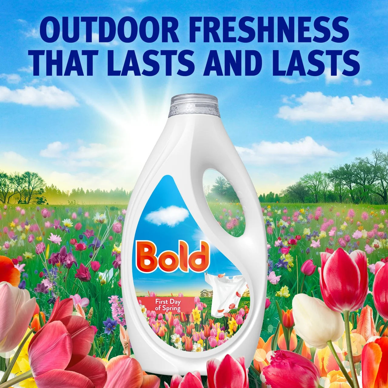 Bold 2in1 Washing Liquid Pink Blossom 63 Washes 1953ml