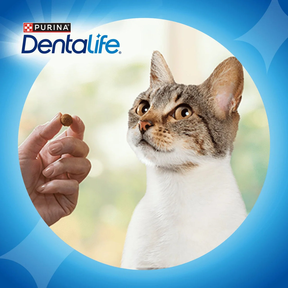 Dentalife Dental Chicken Cat Treats 40g
